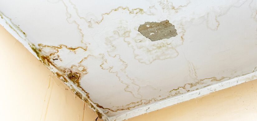 slab leakage from ceiling